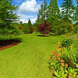 Gartenanlage Gartenbau