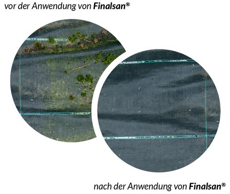 Vorher-Nachher Bild der Wirkung von Finalsan gegen Algen